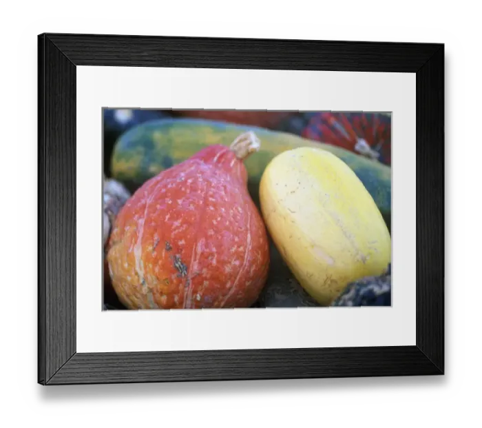Framed Print : N. A. Washington, Chelan County, Squash (selective focus)