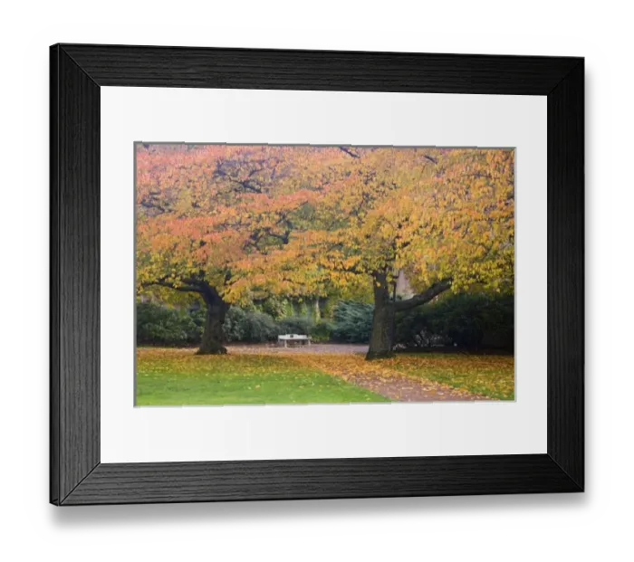 Framed Print : USA, North America, Washington