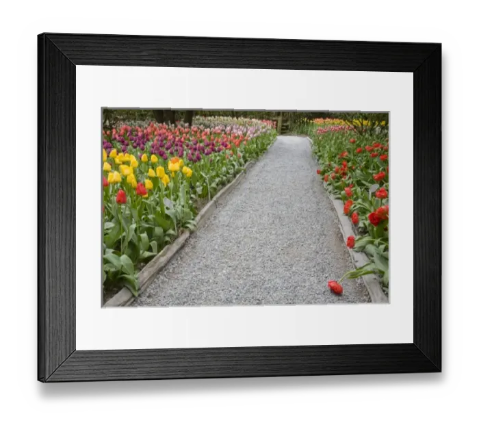 Framed Print : USA, North America, Washington Framed Print : USA, North America, Washington