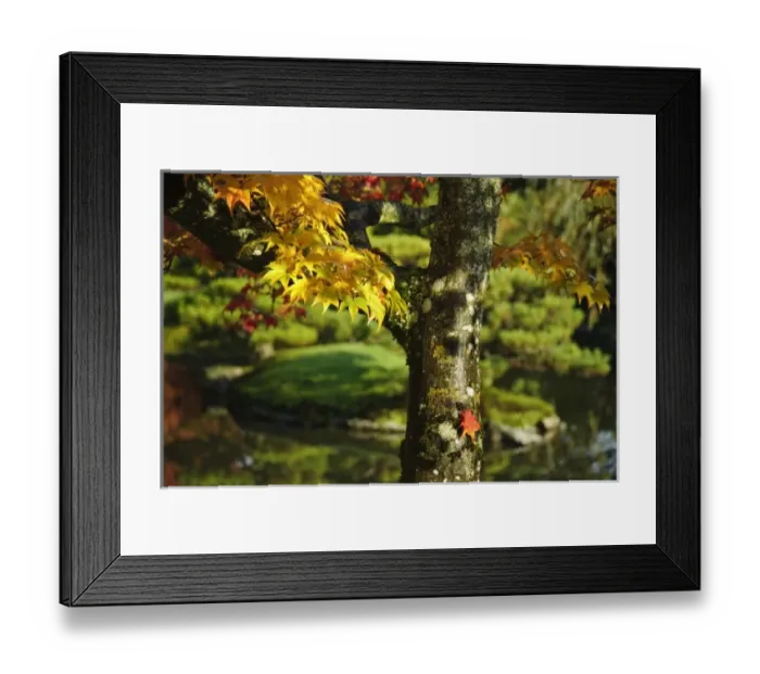 Framed Print : USA, North America, Washington Framed Print : USA, North America, Washington