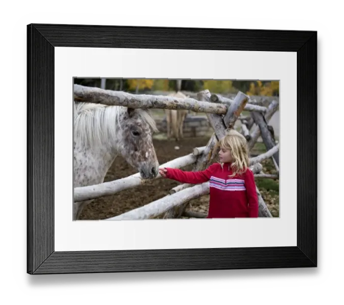 Framed Print : USA. Wyoming. Grand Tetons National Park. Young girl pets a spotted pony at a stable in the Tetons Framed Print : USA. Wyoming. Grand Tetons National Park. Young girl pets a spotted pony at a stable in the Tetons
