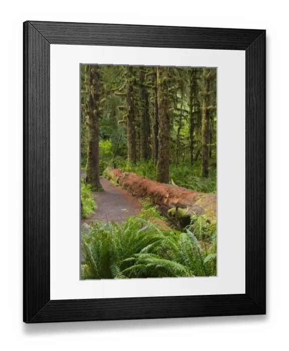 Framed Print : USA, North America, Washington Framed Print : USA, North America, Washington