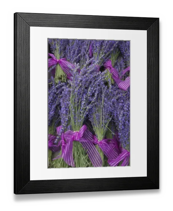 Framed Print : USA, Washington, Sequim, Lavender Festival, Street Fair display; Lavender flowers