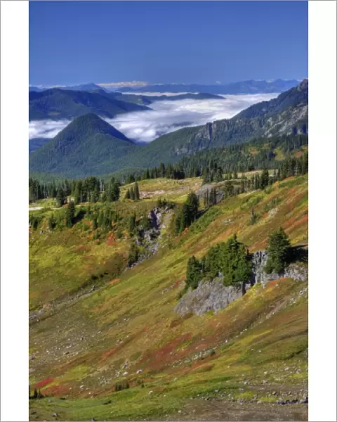 WA, Mt. Rainier National Park, view from Golden Gate Trail
