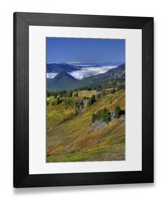 Framed Print : WA, Mt. Rainier National Park, view from Golden Gate Trail Framed Print : WA, Mt. Rainier National Park, view from Golden Gate Trail
