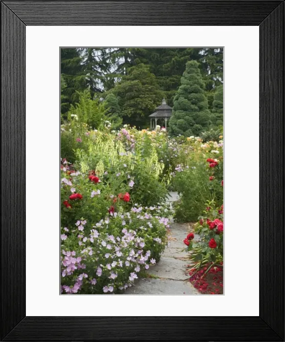 Framed Print : USA, North America, Washington Framed Print : USA, North America, Washington