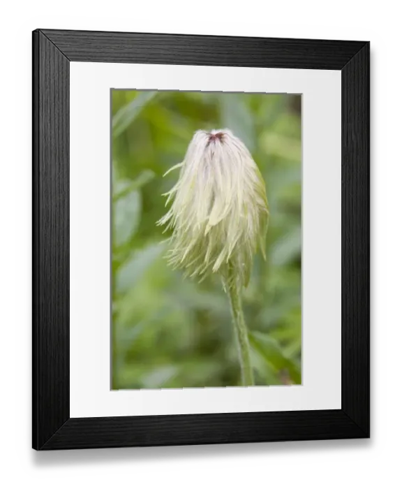 Framed Print : USA, North America, Washington Framed Print : USA, North America, Washington