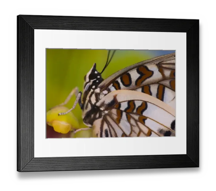 Framed Print : USA, North America, Washington Framed Print : USA, North America, Washington