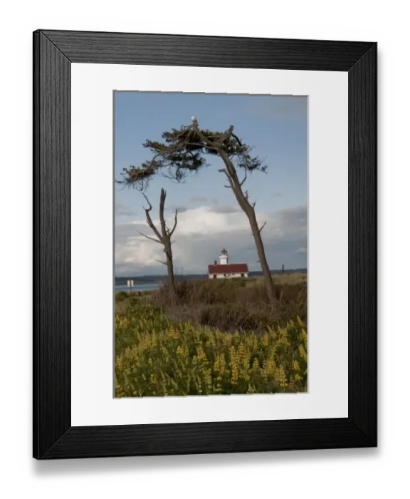 Framed Print : Point Wilson Lighthouse