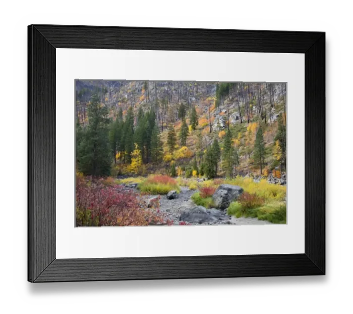 Framed Print : USA, North America, Washington