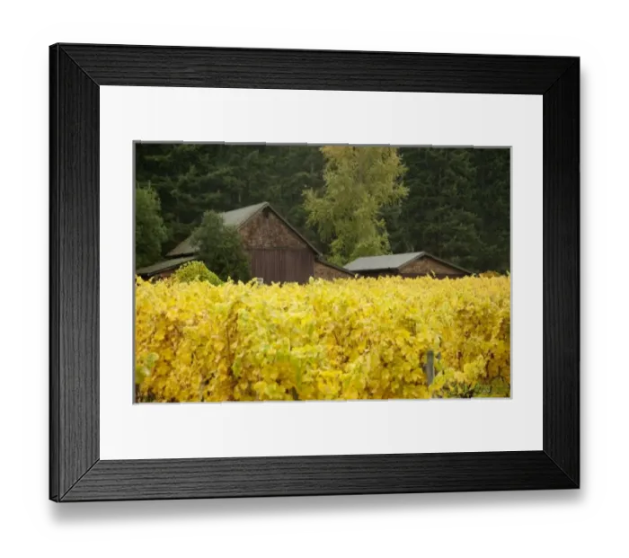 Framed Print : USA, North America, Washington Framed Print : USA, North America, Washington