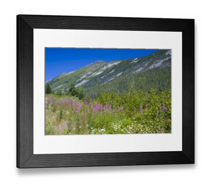 Framed Print : NA, WA, Wild Sky Wilderness, view toward Townsend Mountain Framed Print : NA, WA, Wild Sky Wilderness, view toward Townsend Mountain