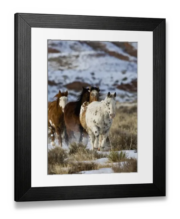 Framed Print : USA, North America, Wyoming