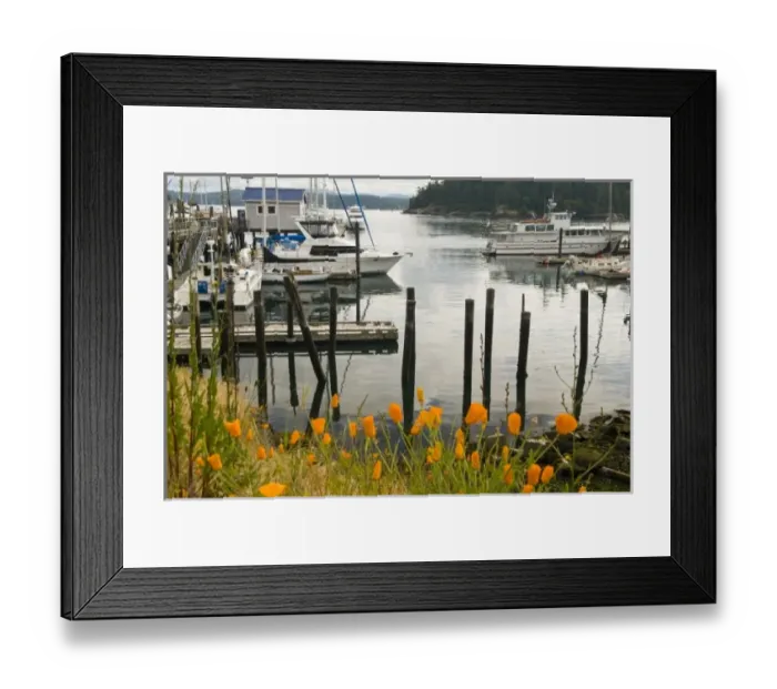 Framed Print : USA, North America, Washington