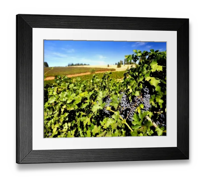 Framed Print : USA, North America, Washington Framed Print : USA, North America, Washington