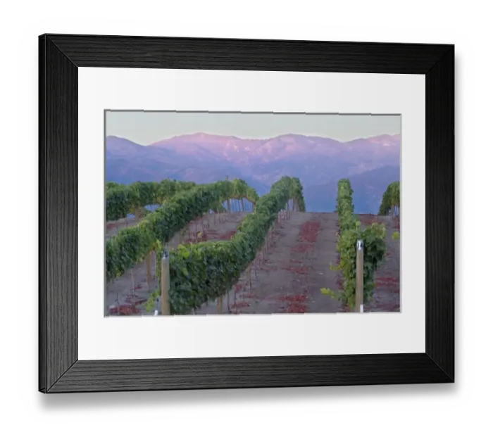 Framed Print : Benson Winery vineyard rolls down to Lake Chelan, Washington, with sunrise red glow Framed Print : Benson Winery vineyard rolls down to Lake Chelan, Washington, with sunrise red glow
