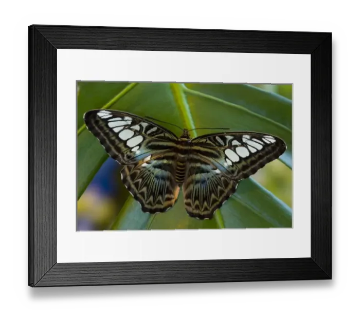 Framed Print : USA, North America, Washington Framed Print : USA, North America, Washington