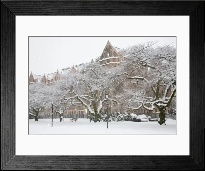 Framed Print : WA, Seattle, University of Washington, the Quad, covered in fresh snow Framed Print : WA, Seattle, University of Washington, the Quad, covered in fresh snow