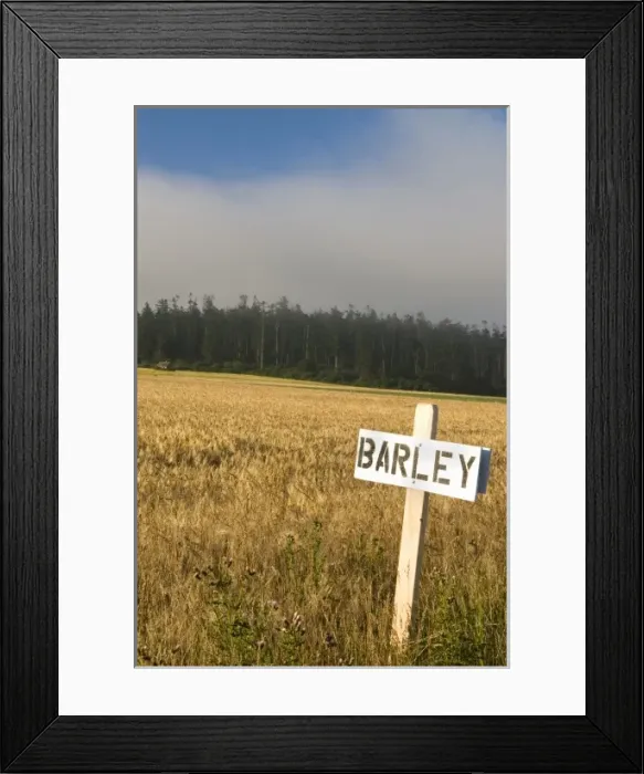 Framed Print : USA, North America, Washington Framed Print : USA, North America, Washington