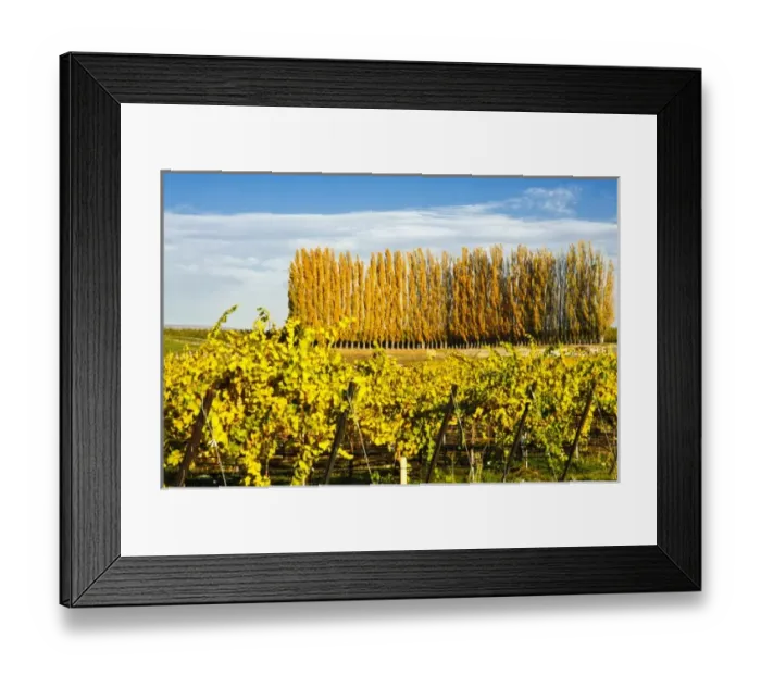 Framed Print : USA, North America, Washington Framed Print : USA, North America, Washington