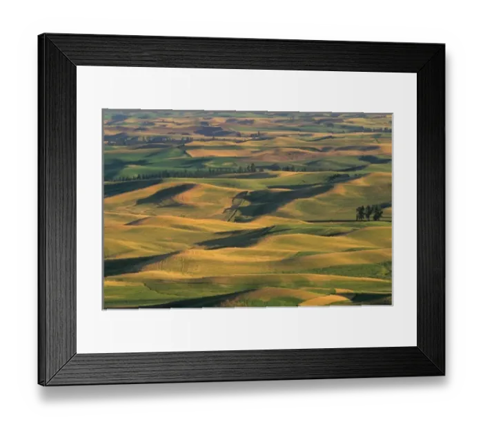 Framed Print : USA, North America, Washington Framed Print : USA, North America, Washington