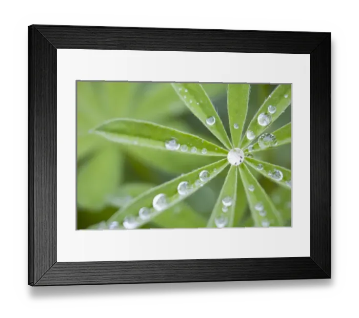 Framed Print : USA, North America, Washington Framed Print : USA, North America, Washington