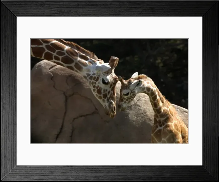Framed Print : USA, North America, Washington Framed Print : USA, North America, Washington