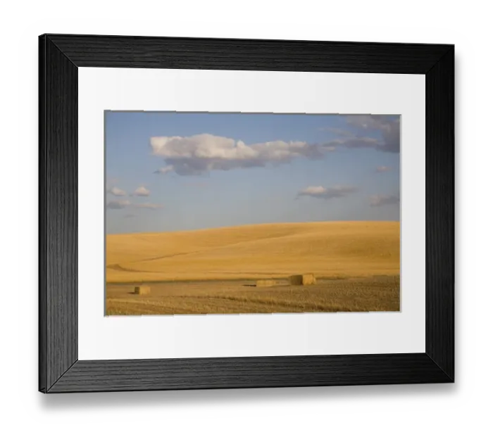 Framed Print : USA, North America, Washington