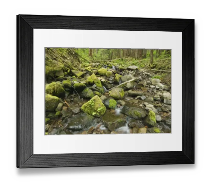 Framed Print : USA, North America, Washington Framed Print : USA, North America, Washington