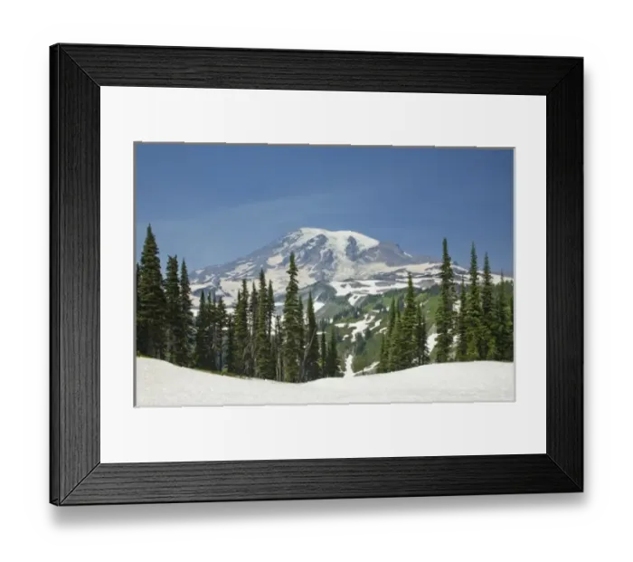 Framed Print : WA, Mount Rainier National Park, Mount Rainier, view from Skyline Trail