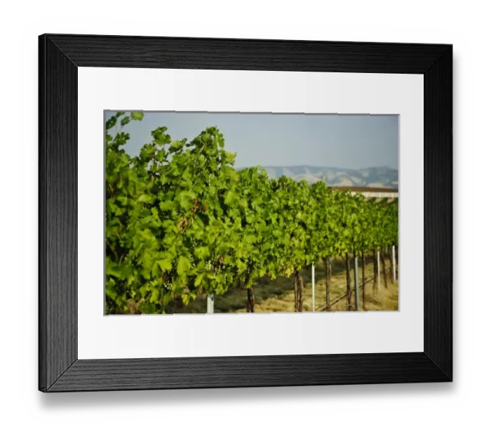 Framed Print : USA, North America, Washington Framed Print : USA, North America, Washington