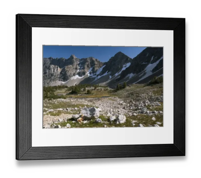 Framed Print : Paintbrush Canyons alpine slopes, Grand Teton National Park, Wyoming, USA Framed Print : Paintbrush Canyons alpine slopes, Grand Teton National Park, Wyoming, USA