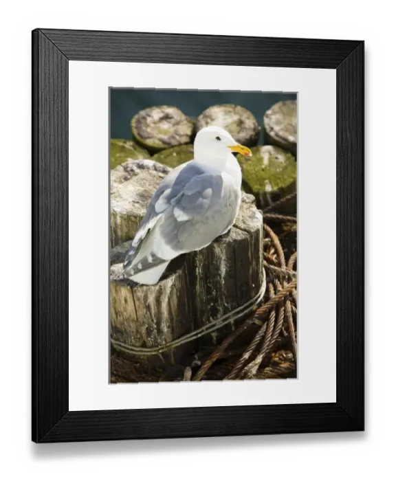 Framed Print : USA, North America, Washington Framed Print : USA, North America, Washington