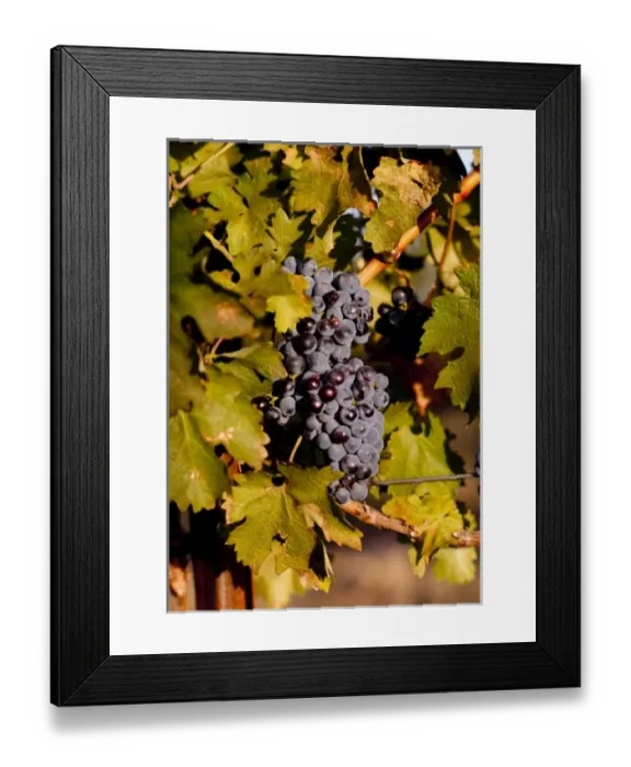 Framed Print : USA, North America, Washington Framed Print : USA, North America, Washington