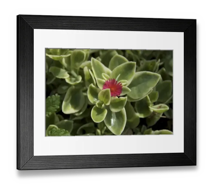 Framed Print : USA, North America, Washington Framed Print : USA, North America, Washington
