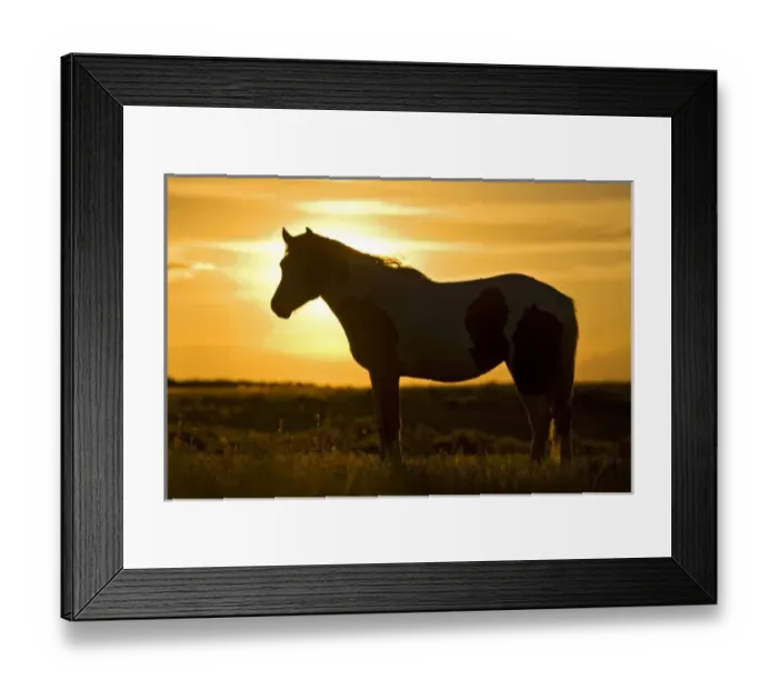 Framed Print : USA, North America, Wyoming Framed Print : USA, North America, Wyoming