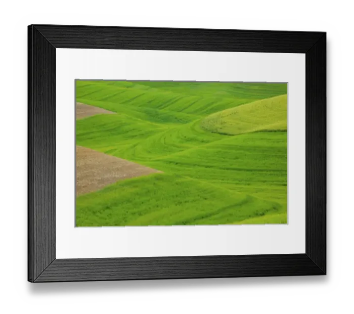 Framed Print : USA, Washington, Palouse Country, Hills of Barley and Wheat