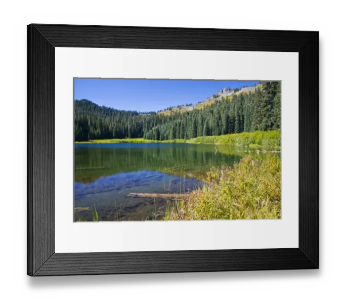 Framed Print : WA, Mount Baker Snoqualmie National Forest, Cottonwood Lake