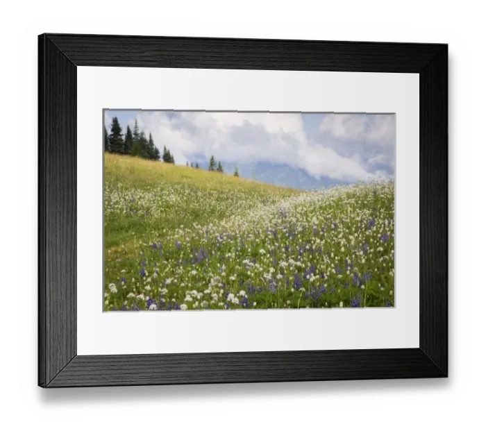 Framed Print : USA, North America, Washington Framed Print : USA, North America, Washington