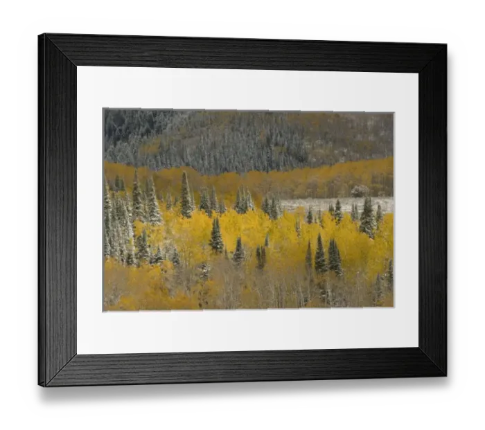 Framed Print : USA, North America, Wyoming