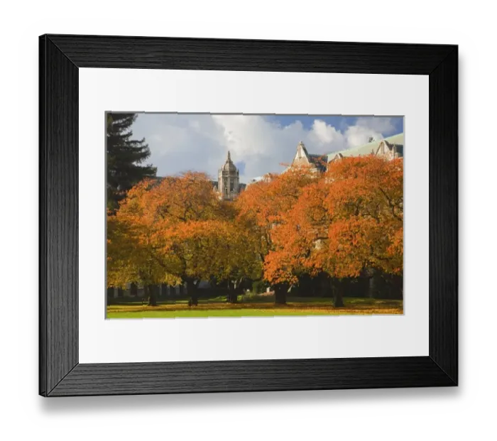 Framed Print : WA, Seattle, University of Washington, The Quad in autumn Framed Print : WA, Seattle, University of Washington, The Quad in autumn