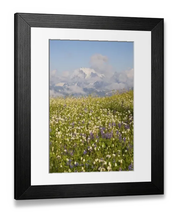 Framed Print : USA, North America, Washington Framed Print : USA, North America, Washington