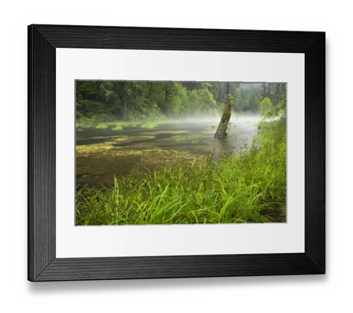 Framed Print : USA, North America, Washington