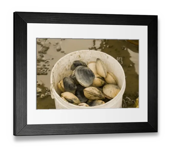 Framed Print : USA, North America, Washington Framed Print : USA, North America, Washington