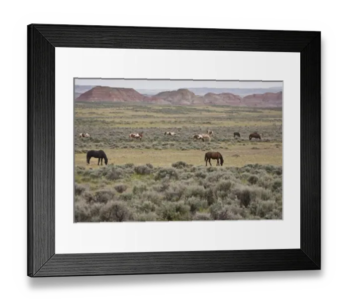 Framed Print : USA, North America, Wyoming