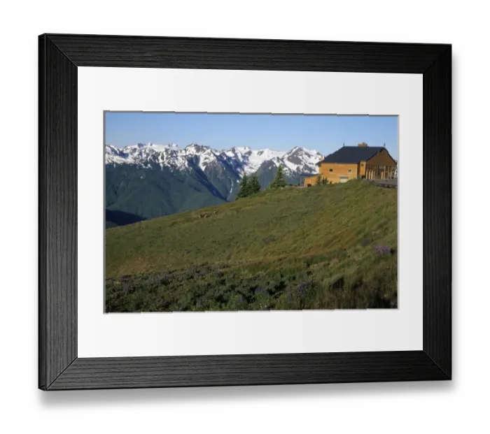 Framed Print : WA, Olympic NP, Olympic Mountain Range and Visitors Center at Hurricane Ridge with lupine