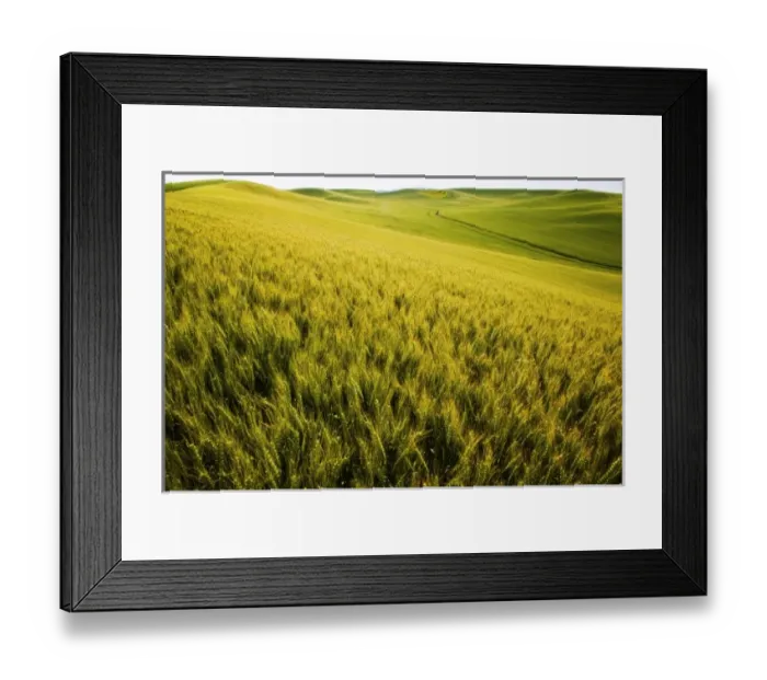 Framed Print : USA, North America, Washington