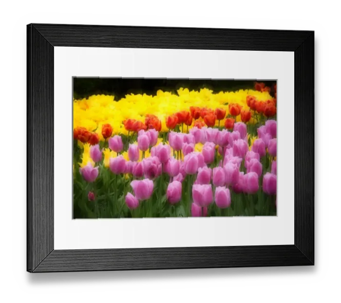 Framed Print : USA, North America, Washington Framed Print : USA, North America, Washington