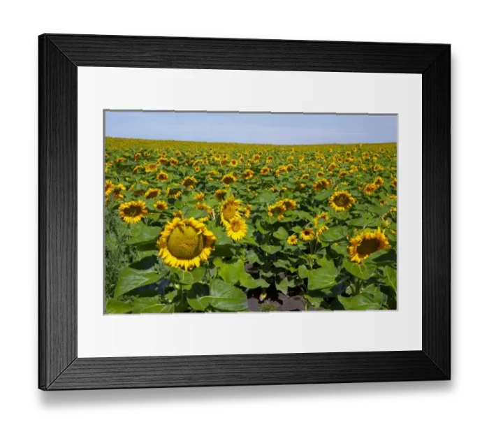 Framed Print : USA, North America, Washington Framed Print : USA, North America, Washington