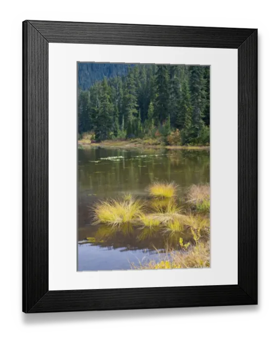 Framed Print : USA, North America, Washington Framed Print : USA, North America, Washington
